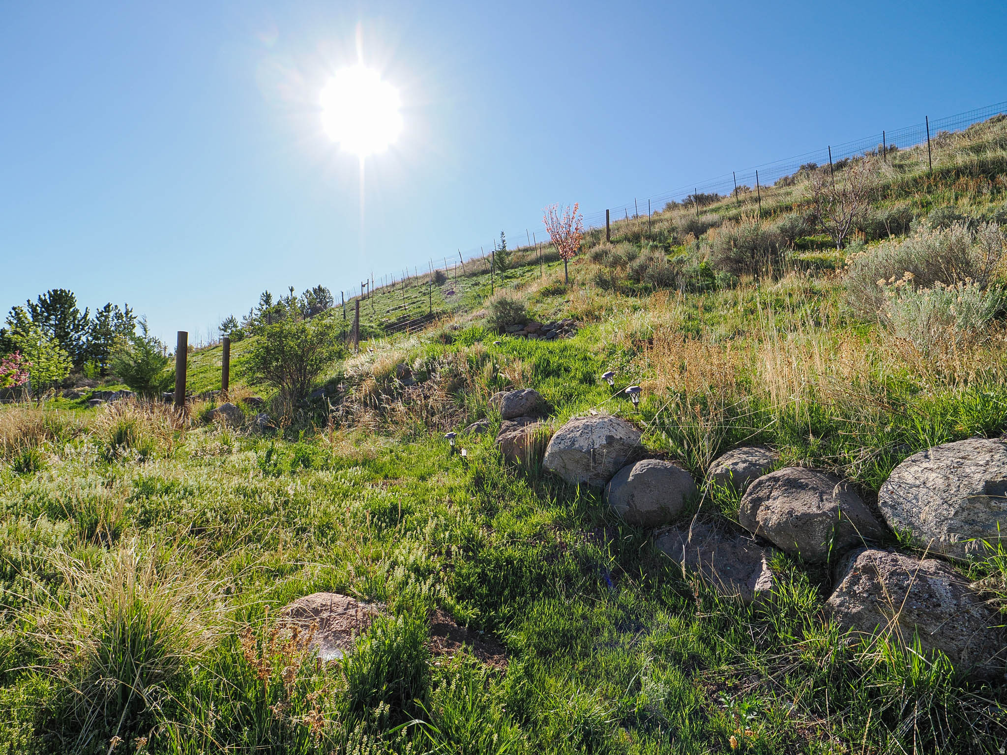 HAMILTON FARMS - Residential