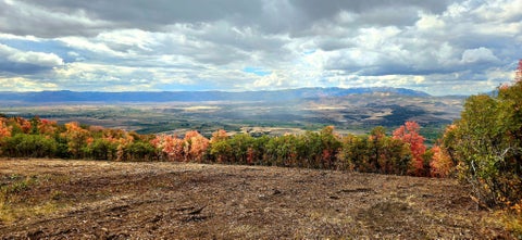 Vacant Land For Sale - 22488 N 13904 #30<br/> Sanpete County, Fairview, UT 84629