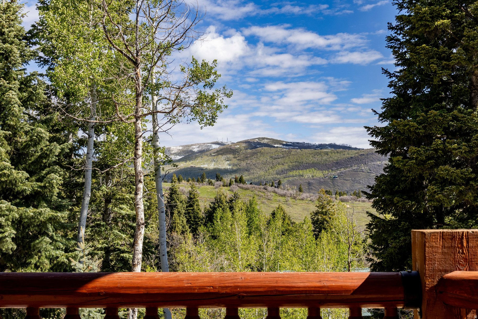 FOREST MEADOWS - Residential