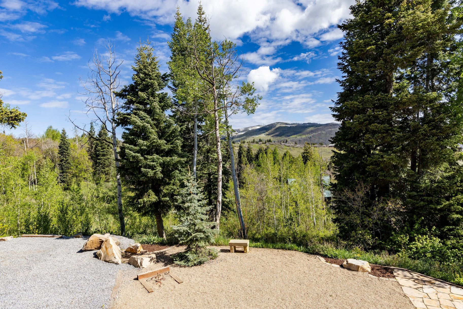 FOREST MEADOWS - Residential