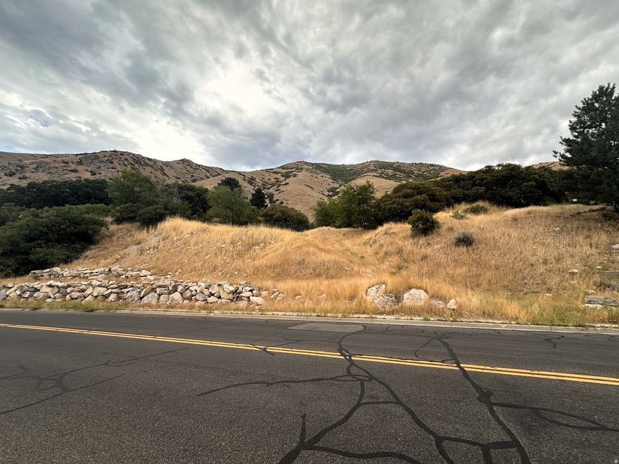 This .824 acre lot in the foothills of Springville is the ideal place to build a dream home! The valley and lake views from your future home will never be obstructed! The property across the street to the west is already developed. You will literally have views from Santaquin to Lehi. The building envelope is nestled in a nice hollow on the lot, with enough room for a moderately sized private backyard. This property is far enough off the beaten path for a quiet, peaceful environment, but only minutes away from Springville's new Junior High and High Schools, and all the retail you would ever need. Some parts of the lot have a steep incline and are covered with vegetation; please be careful when walking the lot. Please also see the attached documents for the geotechnical report, survey, plat map and sellers property condition disclosures. Property dimensions are taken from county records; buyer should verify all information.
