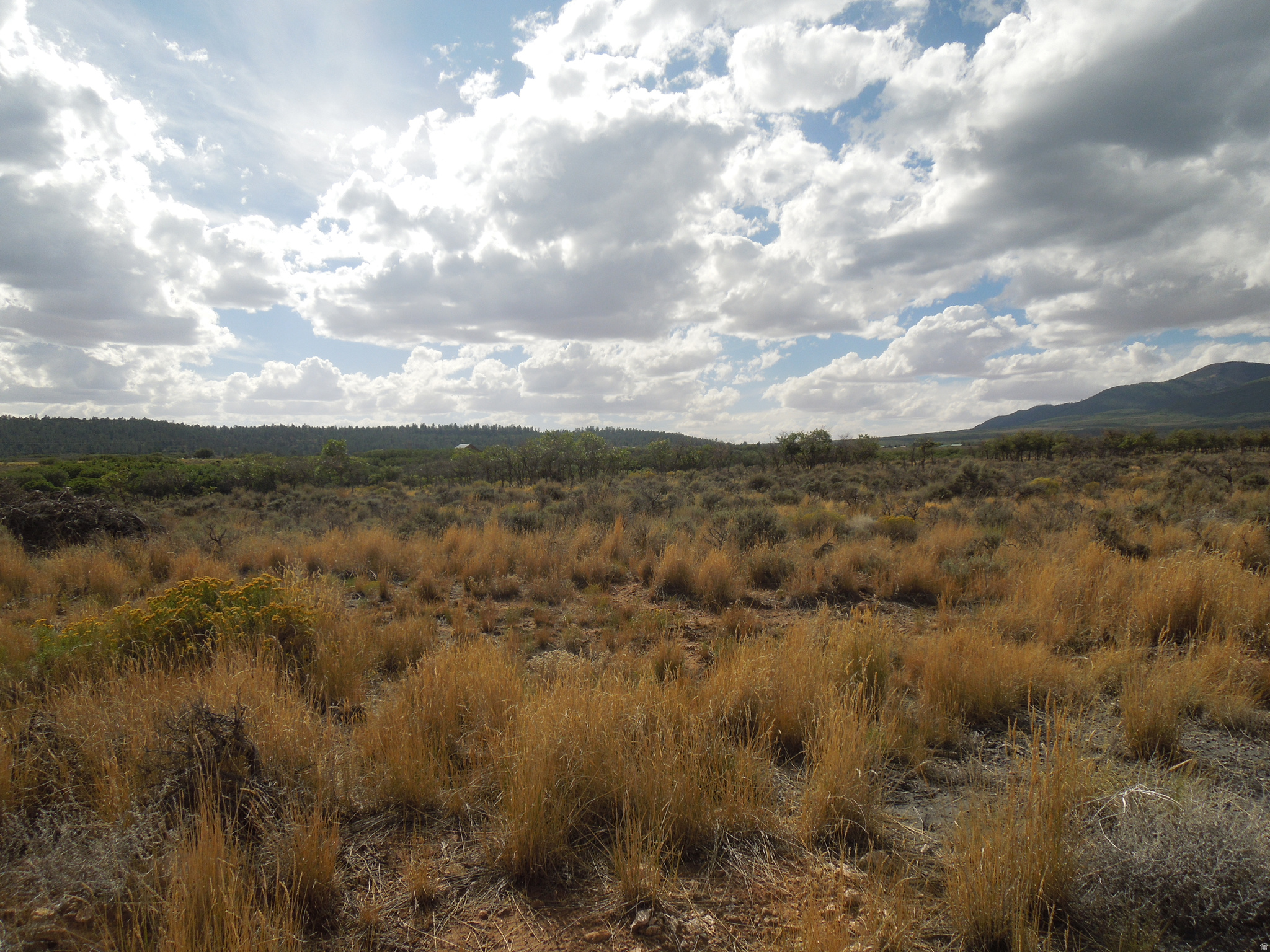 OLD AIRPORT SUBDIVISION - Land