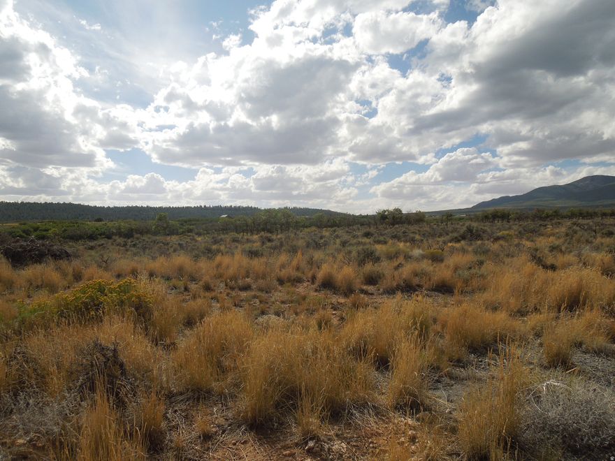 New subdivision in Old LaSal, Old Airport Subdivision with Highway frontage and street frontage at Subdivision entrance. Lovely views of LaSal Mt. peaks and to the East San Juan Mts. in Colorado, and Pine Ridge to the South. Great recreational access for biking, hunting and 4 wheeling. You'll need to drill a well and install a septic system. Underground power transformer pedestal at frontage.  Seller financing terms require 15 % down payment, with balance carried at 6 % interest for a period of up to 15 years. Sellers are related to Listing Agent.