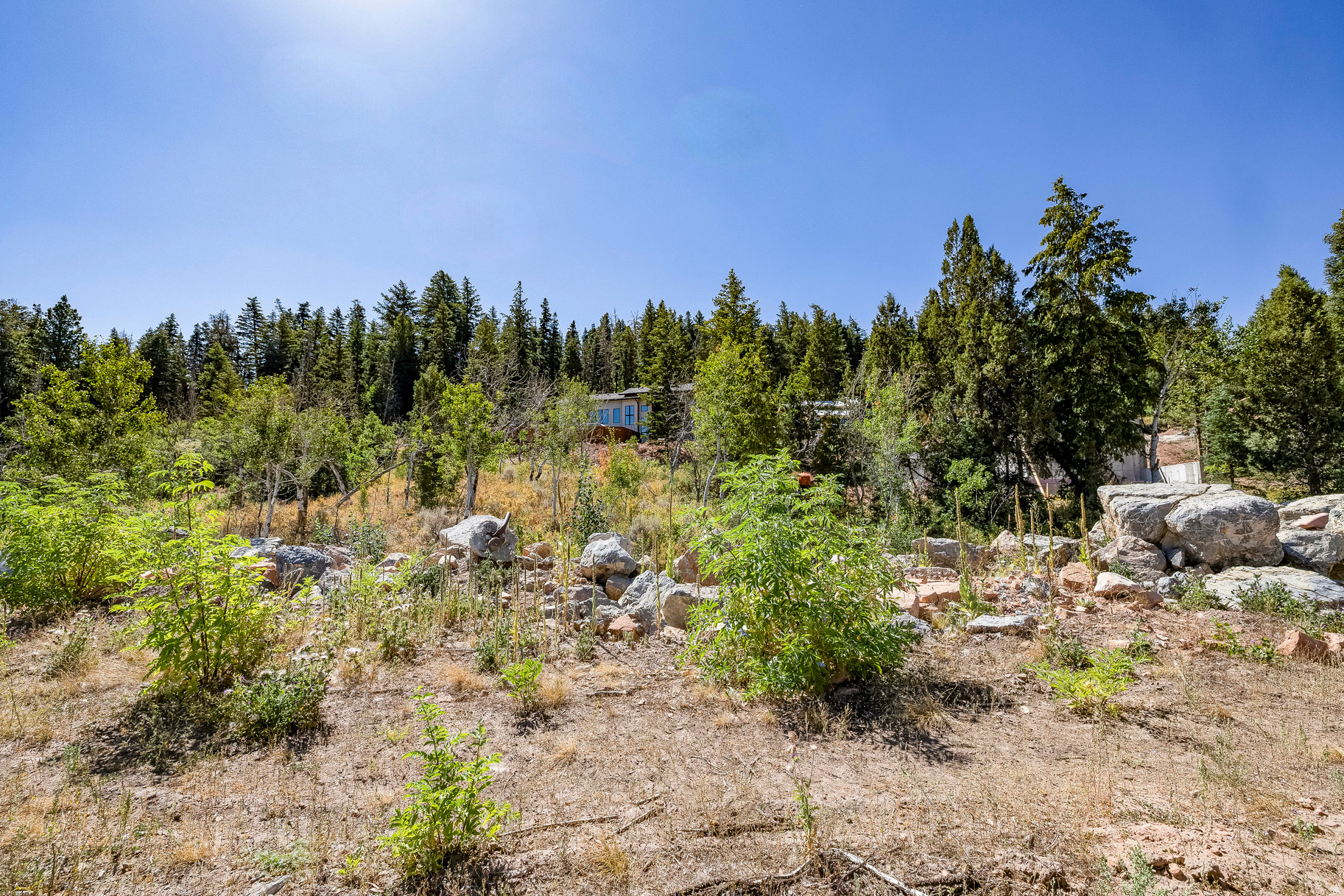 DISCOVERY RIDGE PHASE 3 SUBDIVISION - Residential