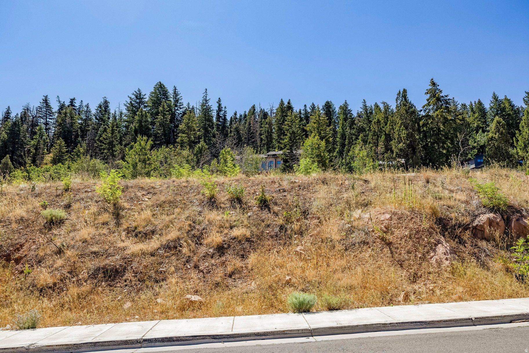 DISCOVERY RIDGE PHASE 3 SUBDIVISION - Residential