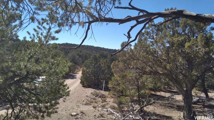 Discover 20 Acres of Recreational Paradise!  Located near Starvation Reservoir, Strawberry Reservoir, and numerous other outdoor destinations, this scenic property offers the perfect mountain escape. Spread across two 10-acre parcels (Parcel IDs: 00-0028-7122 & 00-0028-7130), the land is adorned with tall pine, pinion, and juniper trees, creating a serene, forested retreat.  Whether you're looking for a private getaway, a basecamp for adventure, or simply a piece of the Utah wilderness to call your own, this property is a must-see!