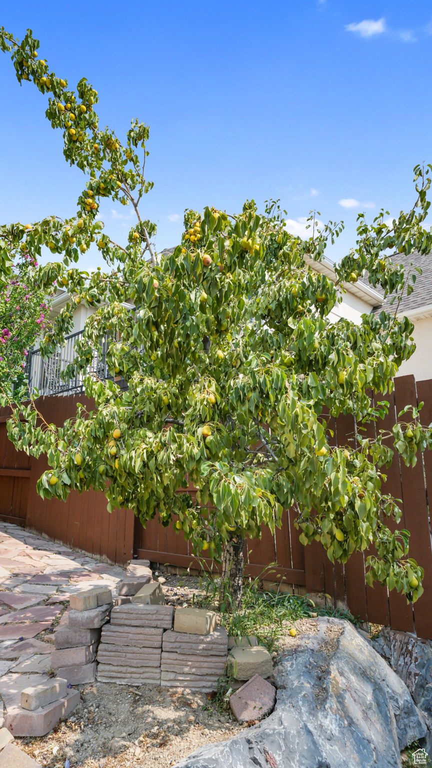 HARVEST HOMES - Residential