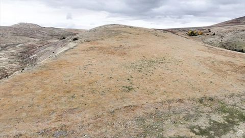 Tiny photo for 2075 E CANYON RD, Smithfield, UT 84335 (MLS # 2117762)