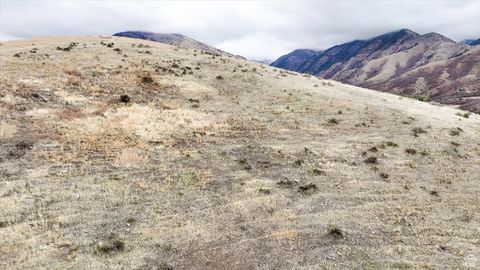 Tiny photo for 2075 E CANYON RD, Smithfield, UT 84335 (MLS # 2117762)