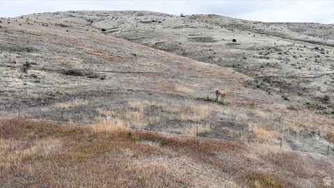 Tiny photo for 2075 E CANYON RD, Smithfield, UT 84335 (MLS # 2117762)