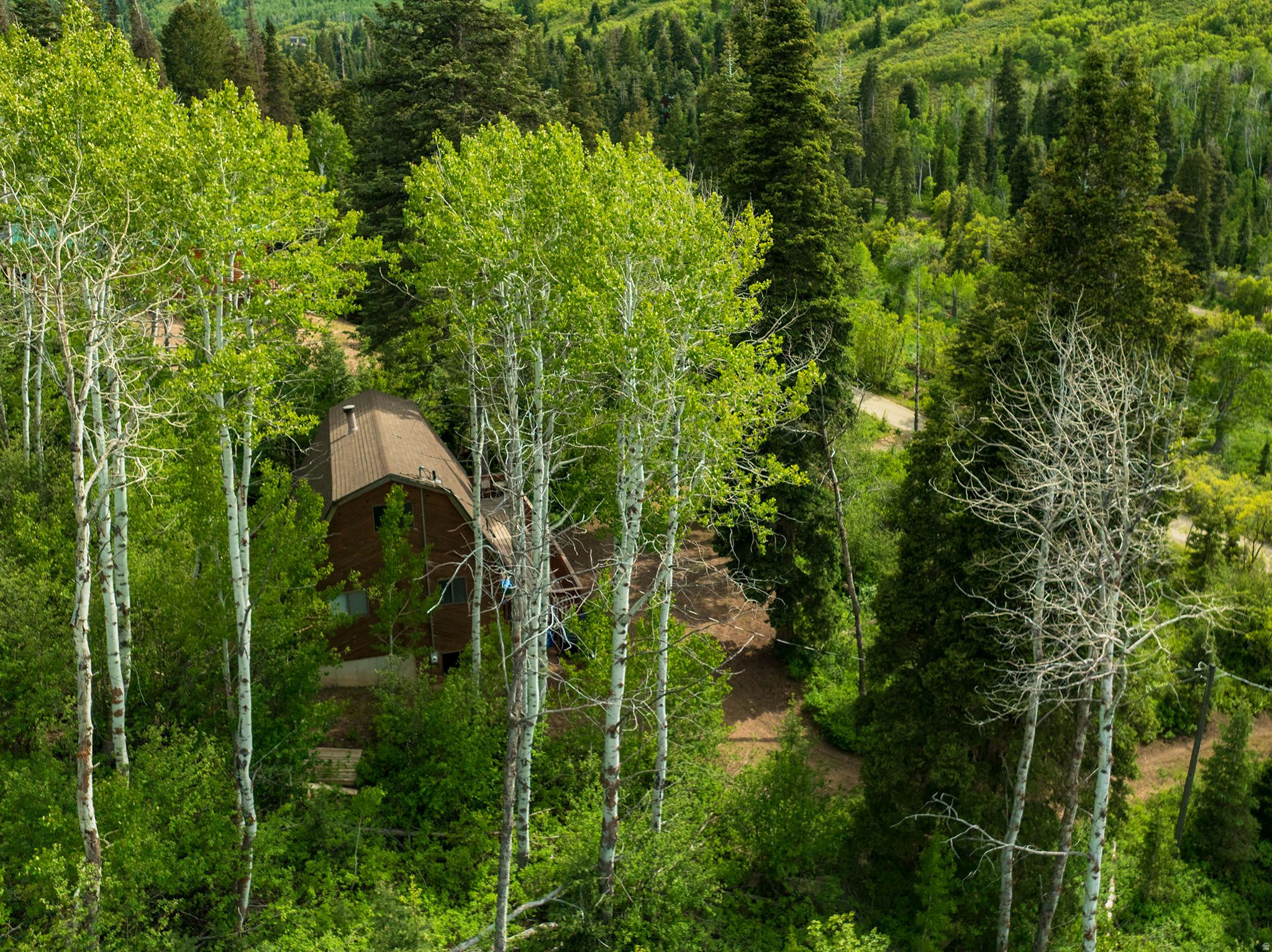 CAUSEY ESTATES - Land