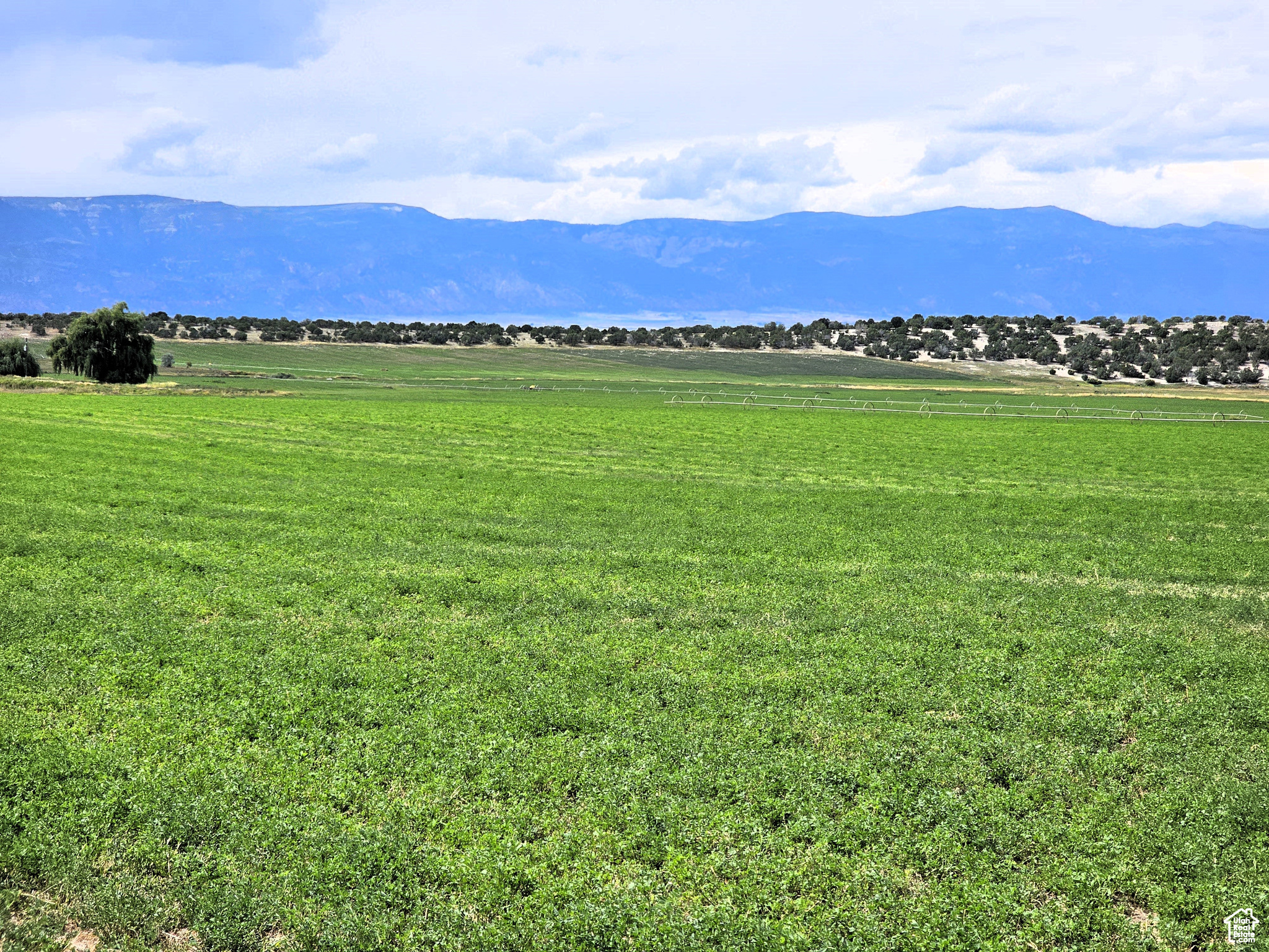 CRAWFROD CIRCLE - Land