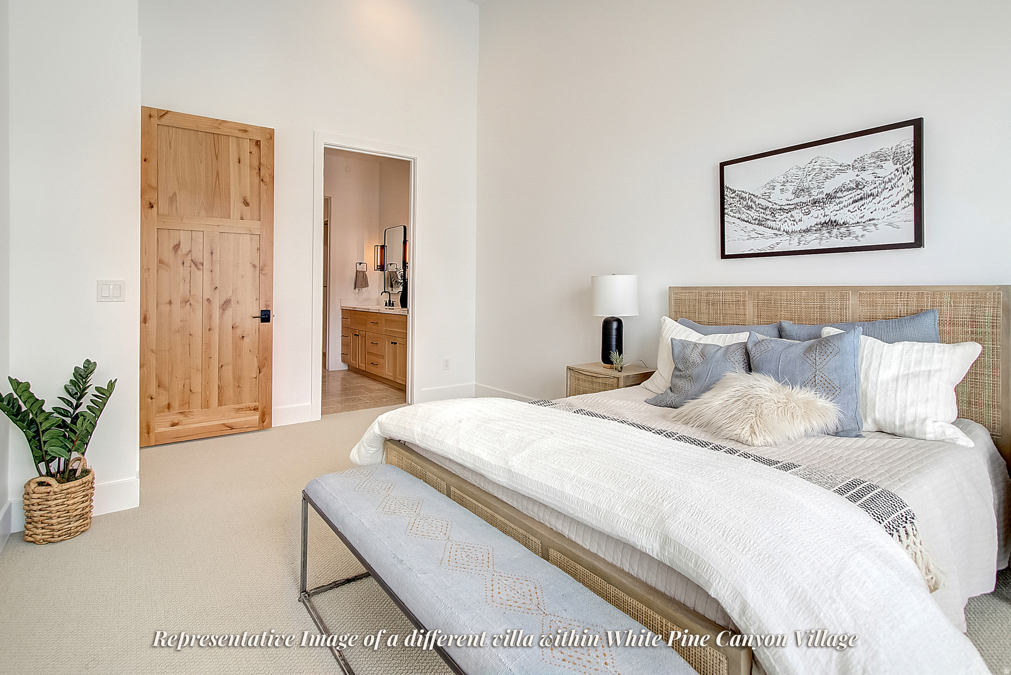 WHITE PINE CANYON VILLAGE - Residential