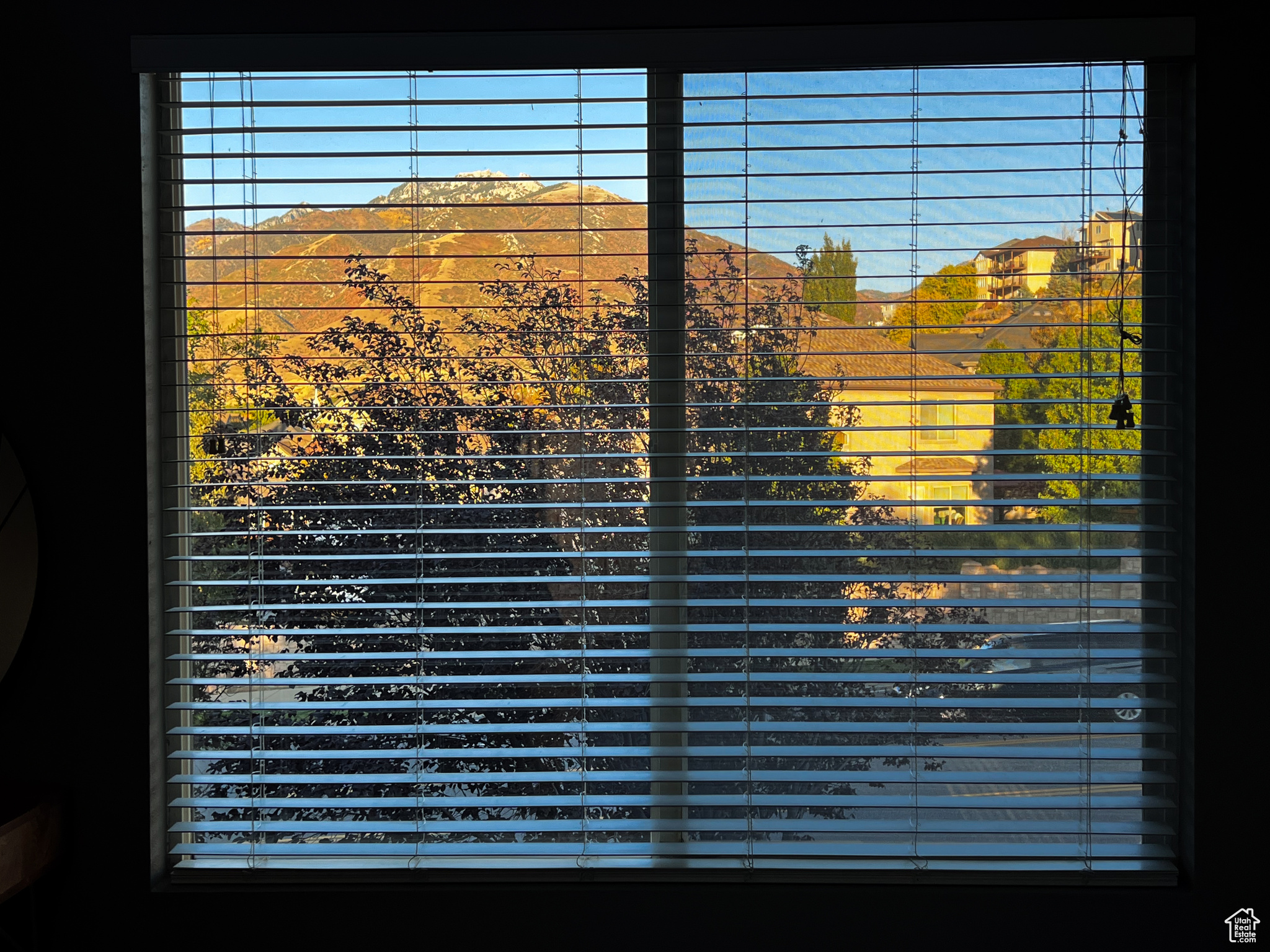 FIELDS - Residential