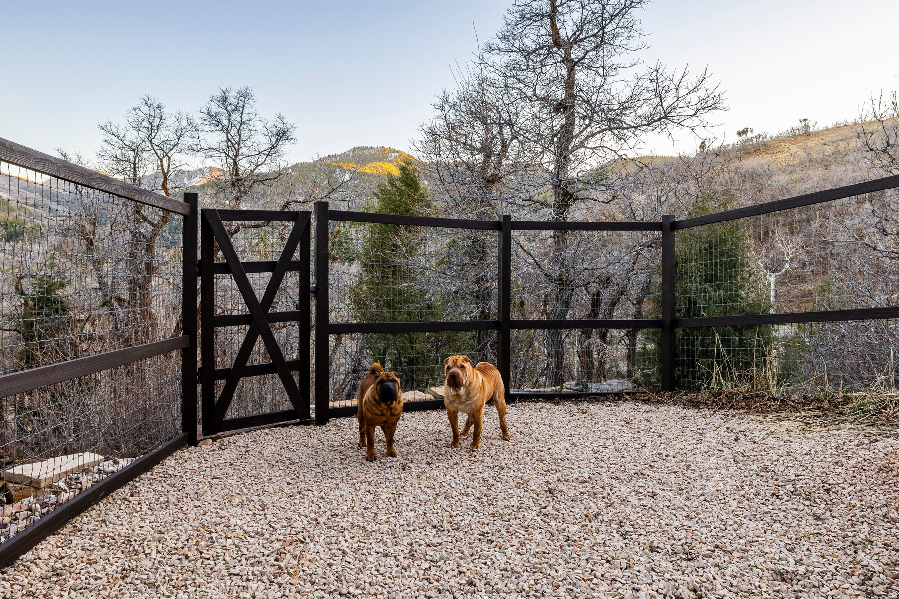 WOODS OF PARLEYS LANE - Residential