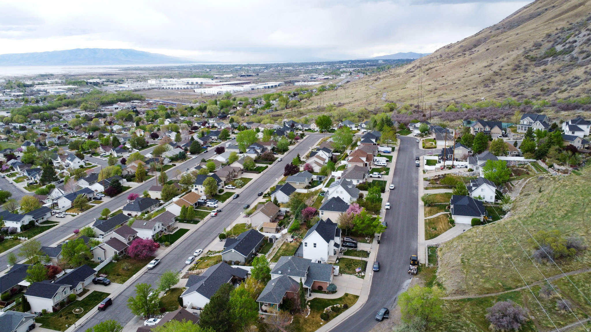 SPRINGVILLE HEIGHTS - Residential