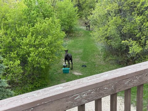 Tiny photo for 46 ALDER CT #638, Fish Haven, ID 83287 (MLS # 2134312)