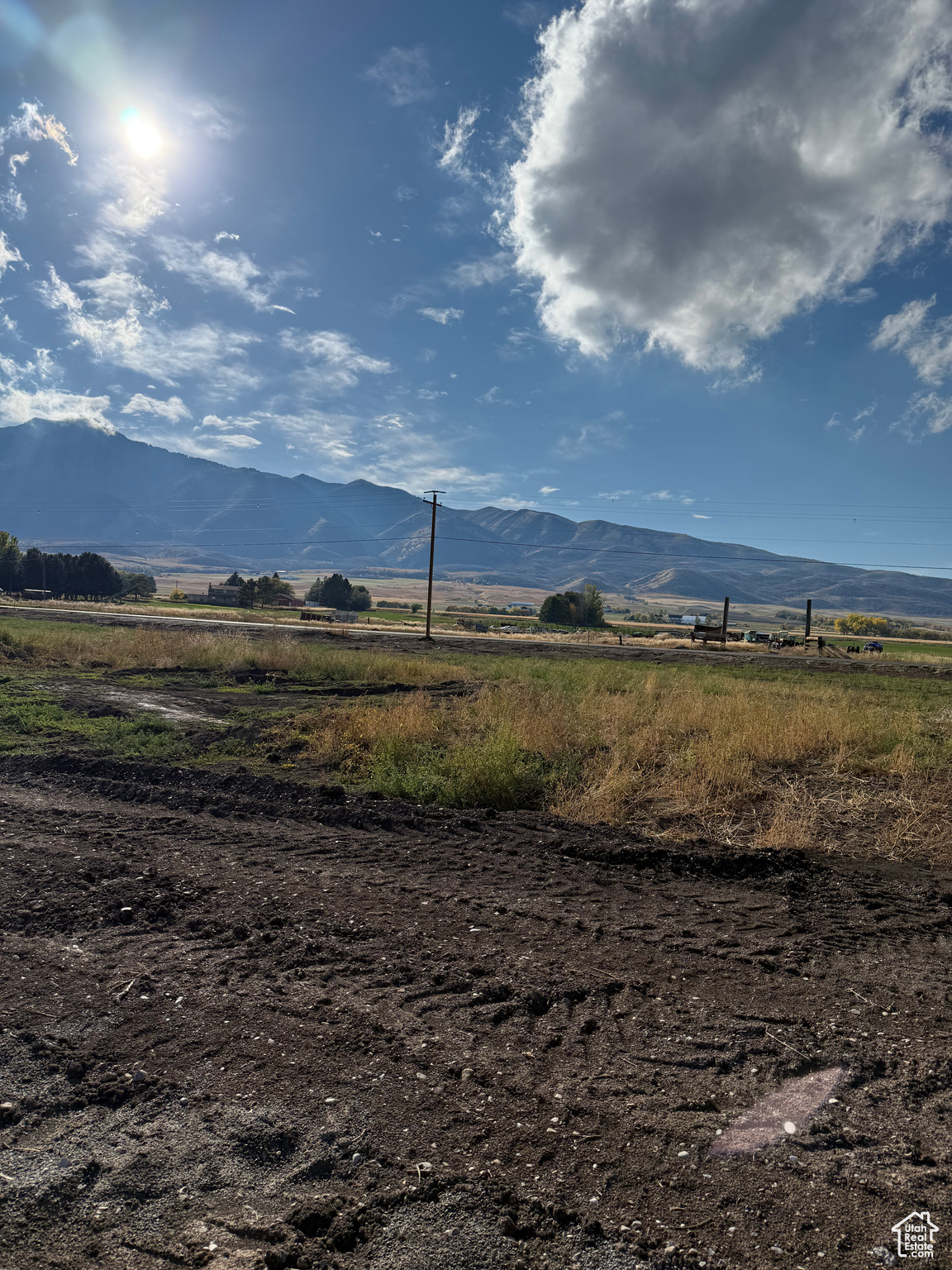 BLUEBERRY SPRINGS DEVELOPMENT LLC - Land