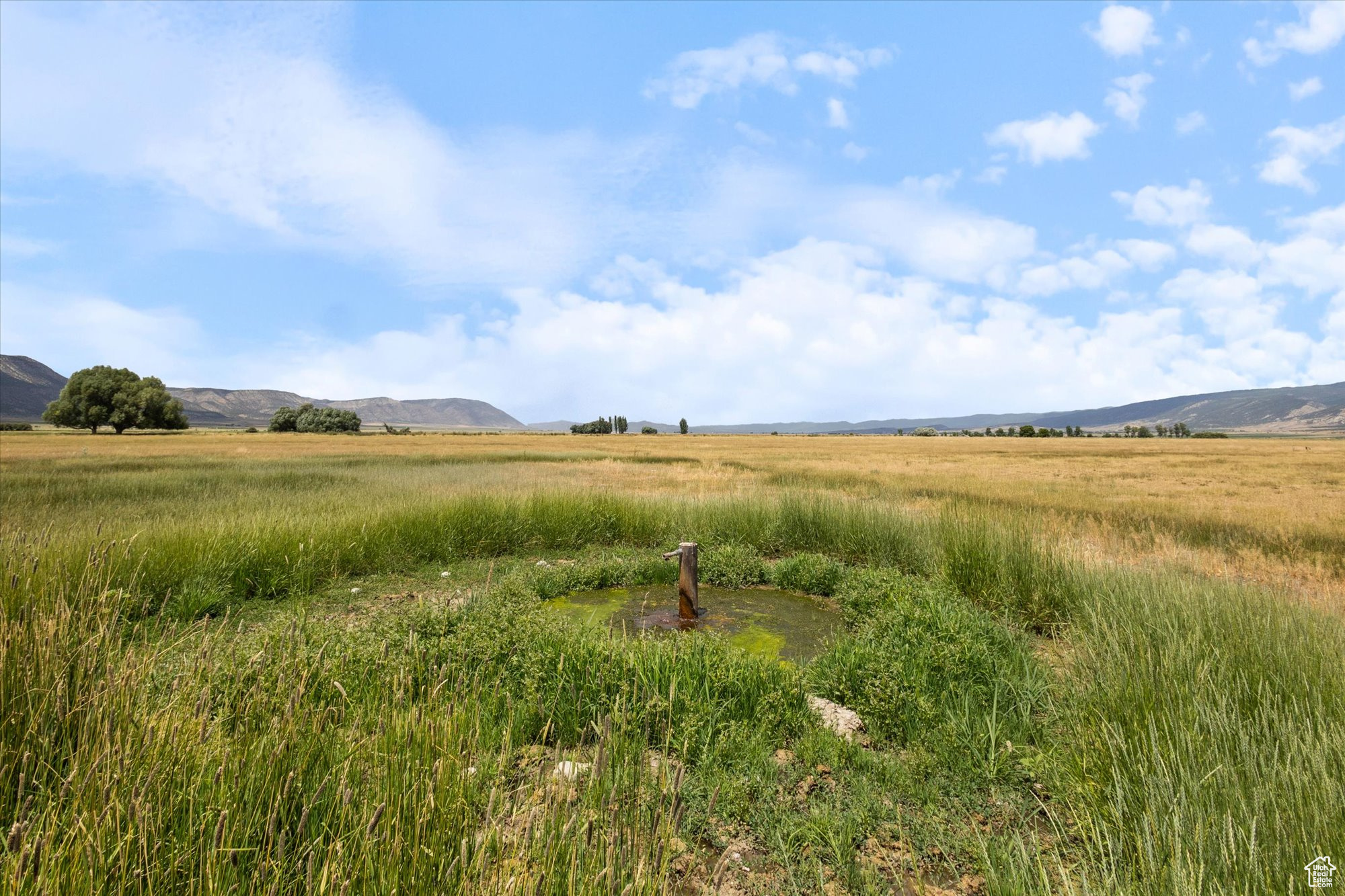 MANTI VALLEY RANCH - Land