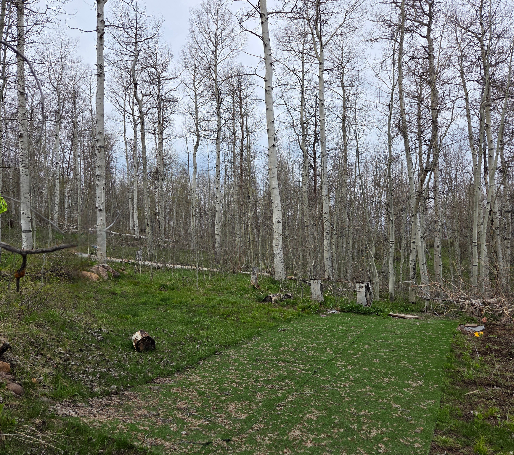 SUNRIDGE HIGHLANDS - Land