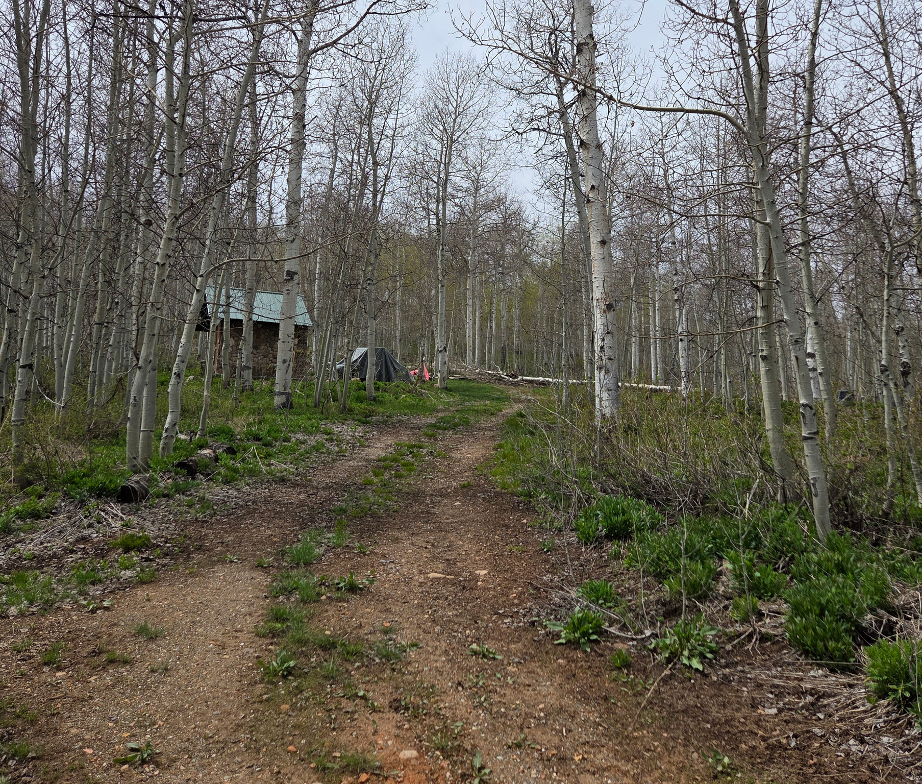 SUNRIDGE HIGHLANDS - Land