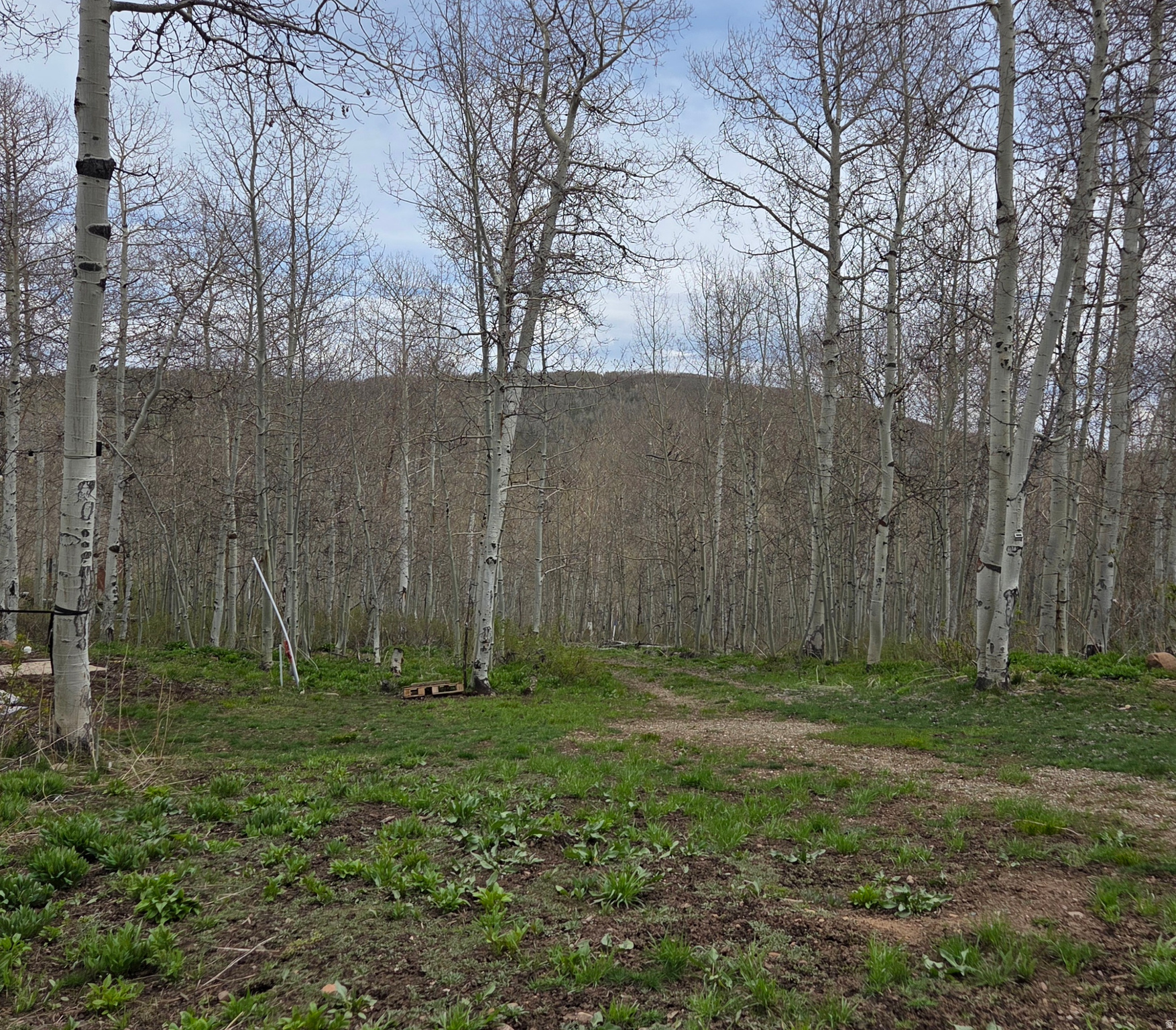 SUNRIDGE HIGHLANDS - Land