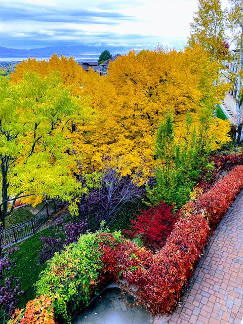 Tiny photo for 876 E HIGH COUNTRY DR N, Orem, UT 84097 (MLS # 2158326)