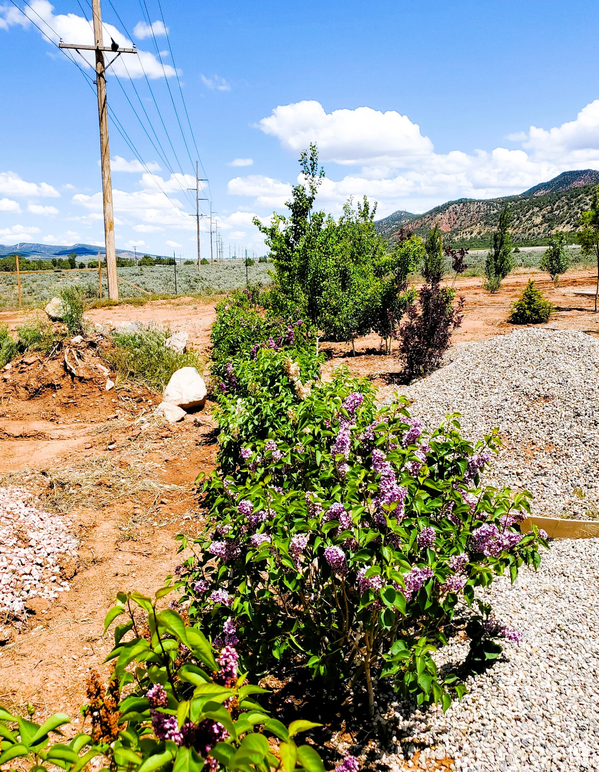 1585 S Badger Way, New Harmony, Utah image 24