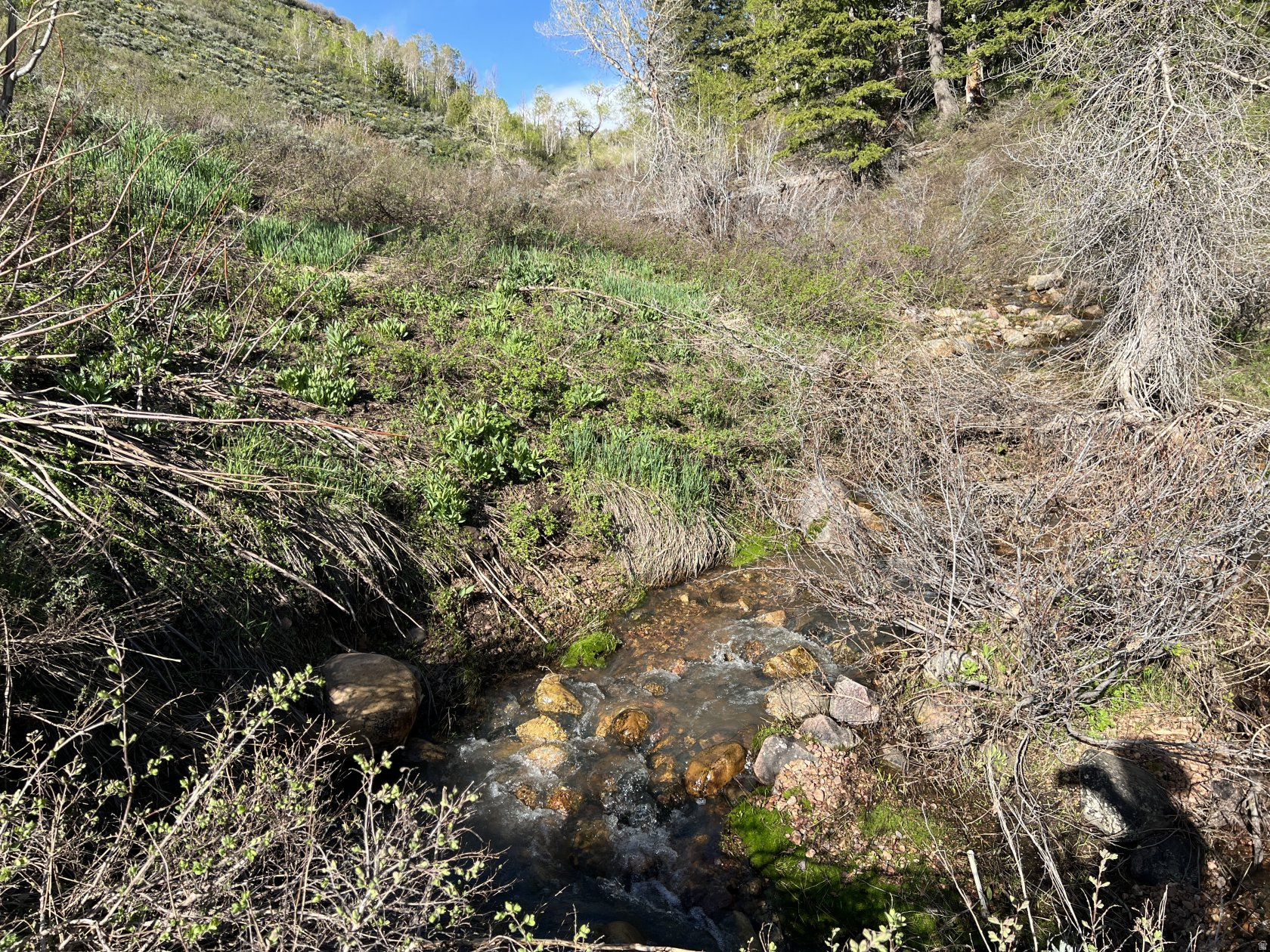 SUNRIDGE - Land