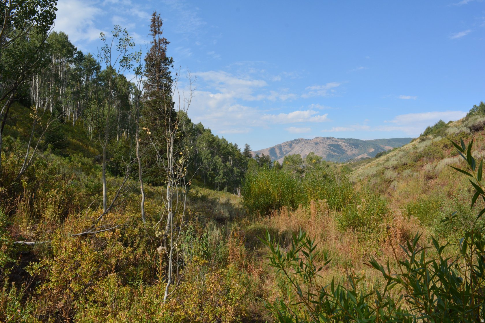 SUNRIDGE - Land