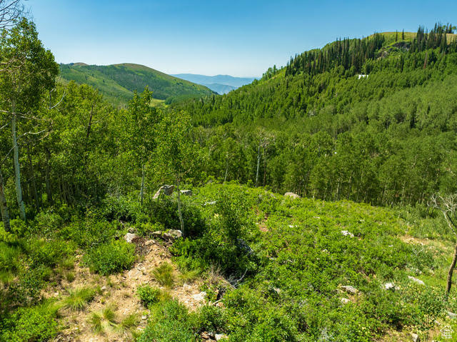 BRIGHTON ESTATES - Land