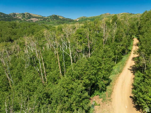 BRIGHTON ESTATES - Land