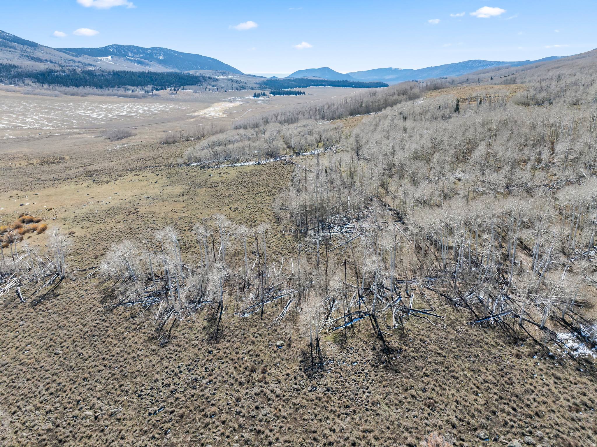 SHEEP VALLEY ESTATES SUBDIVISON - Land