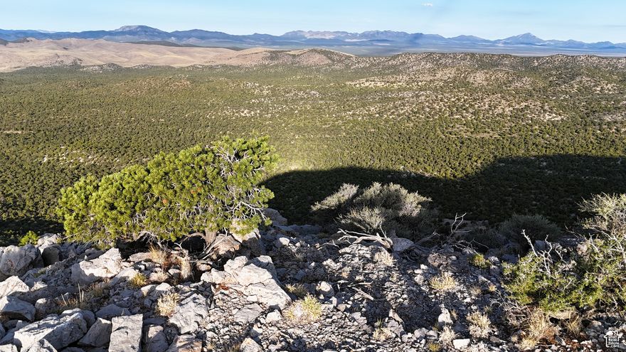 This 640-acre property, located north of Herd Pass and west of Prout Spring, offers a rare combination of size, seclusion, and recreational opportunity in Iron County, Utah. With no other private lands for more than three miles, the property provides a quiet setting at the end of a lightly traveled dead-end road.  The land features diverse terrain and vegetation, with elevations ranging from 6,235 feet to 7,082 feet. These elevation changes create open vistas with views extending more than 40 miles to distant mountain ranges on clear days. Old-growth pinyon and juniper forests dominate the landscape, interspersed with sagebrush, rabbit brush, cactus, bitterbrush, and remnants of tree cuttings more than 50 years old.  Road access is available at both the northwest and southeast corners of the property. High-clearance vehicles or UTVs are recommended for reliable access. From the property, hundreds of miles of trails in the Wah Wah and Indian Peak mountain ranges are easily accessible, making it a practical base for recreation in multiple directions.  Wildlife use of the property and surrounding areas is diverse. Elk, wild horses, and coyotes are regularly observed within the property boundaries, while antelope, mule deer, mountain lions, and bobcats frequent the surrounding hills and mountains. To the south, habitat improvements have been completed for upland bird species, including Chukar Partridge and Dove, adding another dimension to the recreational opportunities.  The property includes 2.0 acre-feet of underground water rights, providing flexibility for future development or residential use. Nearby developed springs add additional context to the availability of water resources in the region. Combined with its size, varied vegetation, and access, the water rights provide options for those interested in creating a retreat that can be enjoyed year after year. Or those seeking to create a hub for nearby wildlife.  The landscape's elevation changes, open views, and mix of forest and sage habitat support a variety of recreational pursuits. From hiking and camping to wildlife observation and hunting, the property can support multiple uses while maintaining its natural seclusion. Its location ensures privacy, while the extensive trail systems nearby connect it to a wider region of public lands and recreation.  For access to services, the property is located approximately 57 miles from Milford, Utah, which offers groceries, fuel, and basic amenities. Cedar City is roughly 46 miles southeast, providing larger-scale services including healthcare, shopping, and lodging.  This property represents an opportunity to own a large, contiguous acreage in western Utah with road access, water rights, and a wide range of recreational potential. Its mix of forest, sage openings, and dramatic topography ensures both natural beauty and practical use, whether for a private retreat or as a recreational base for exploring both Iron and Beaver Counties