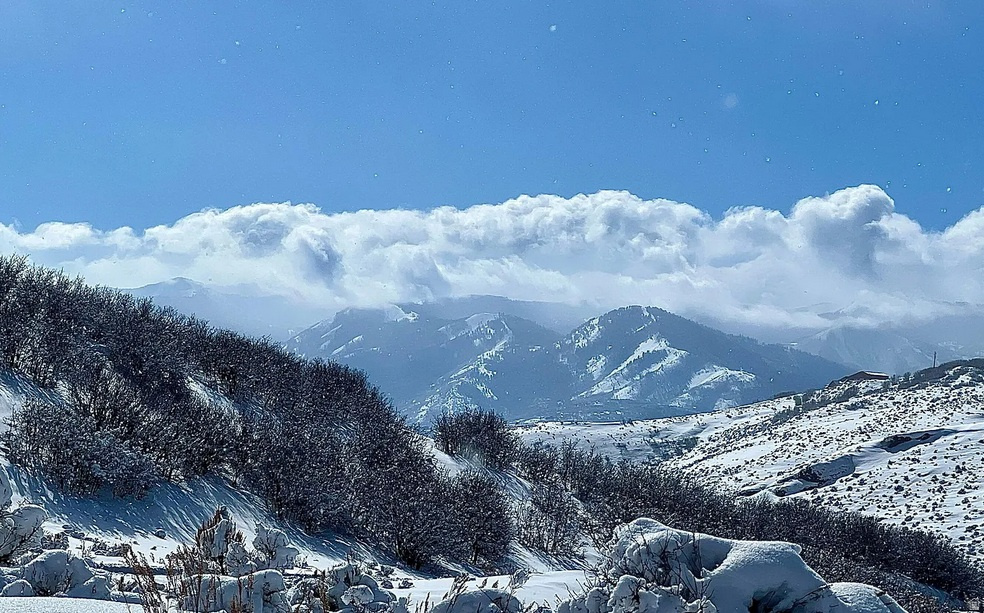 NORTHGATE CANYON - Land