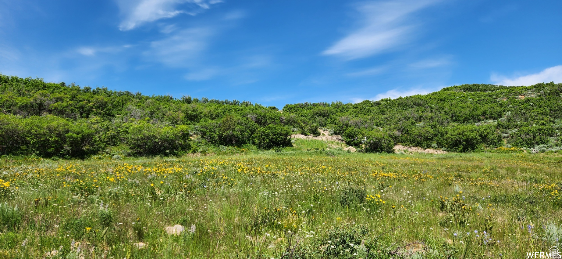 5526 Sunrise Rd, Echo, Utah image 4