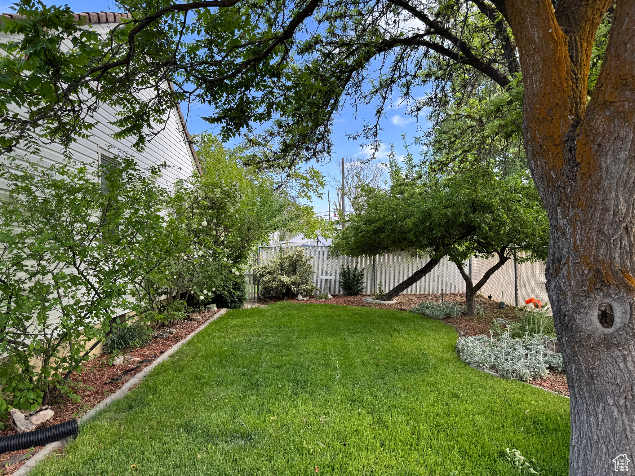 298 N Lakeview Dr, Clearfield, Utah image 6