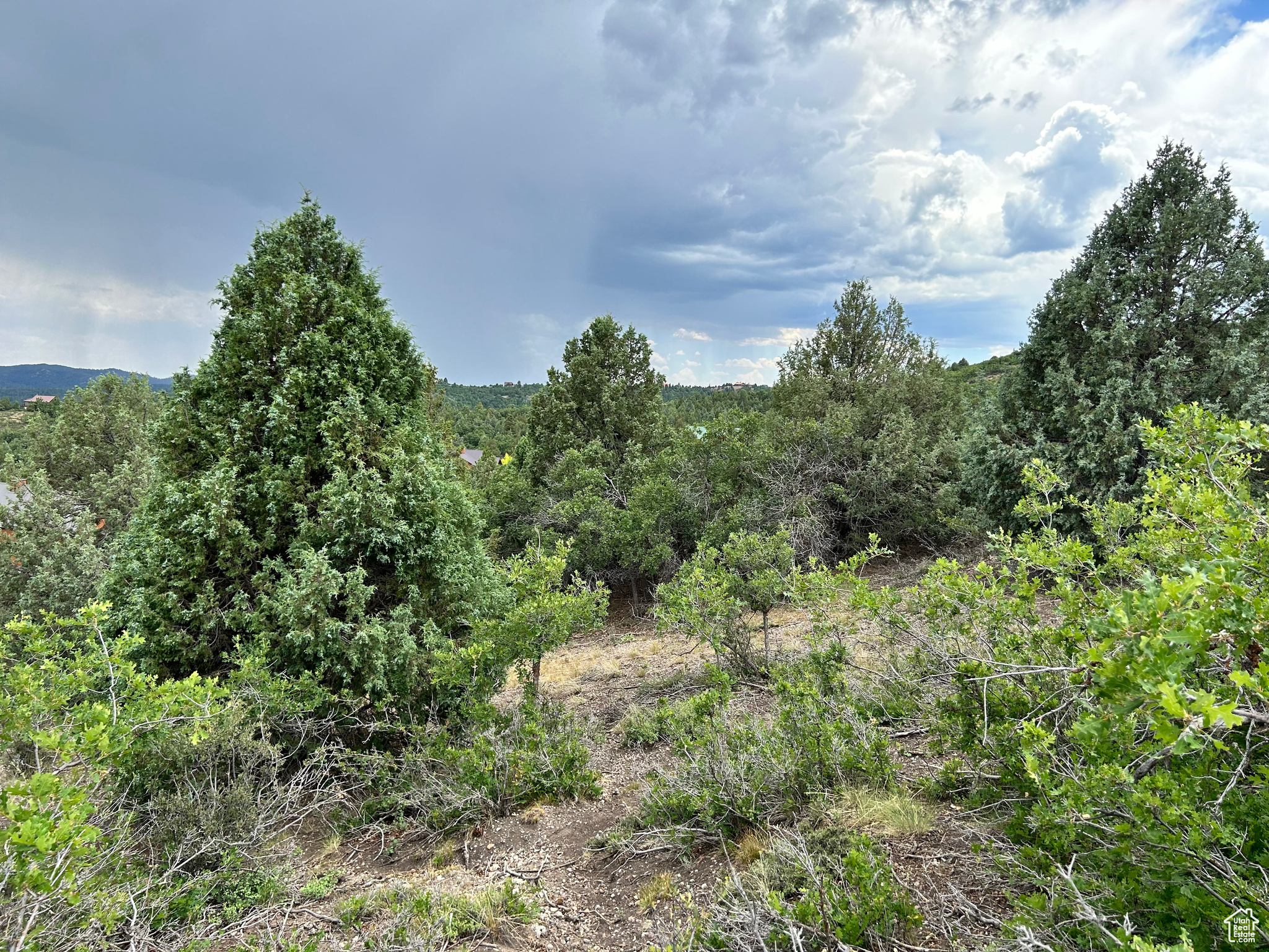 1 Ranch Dr #2, Duck Creek Village, Utah image 11