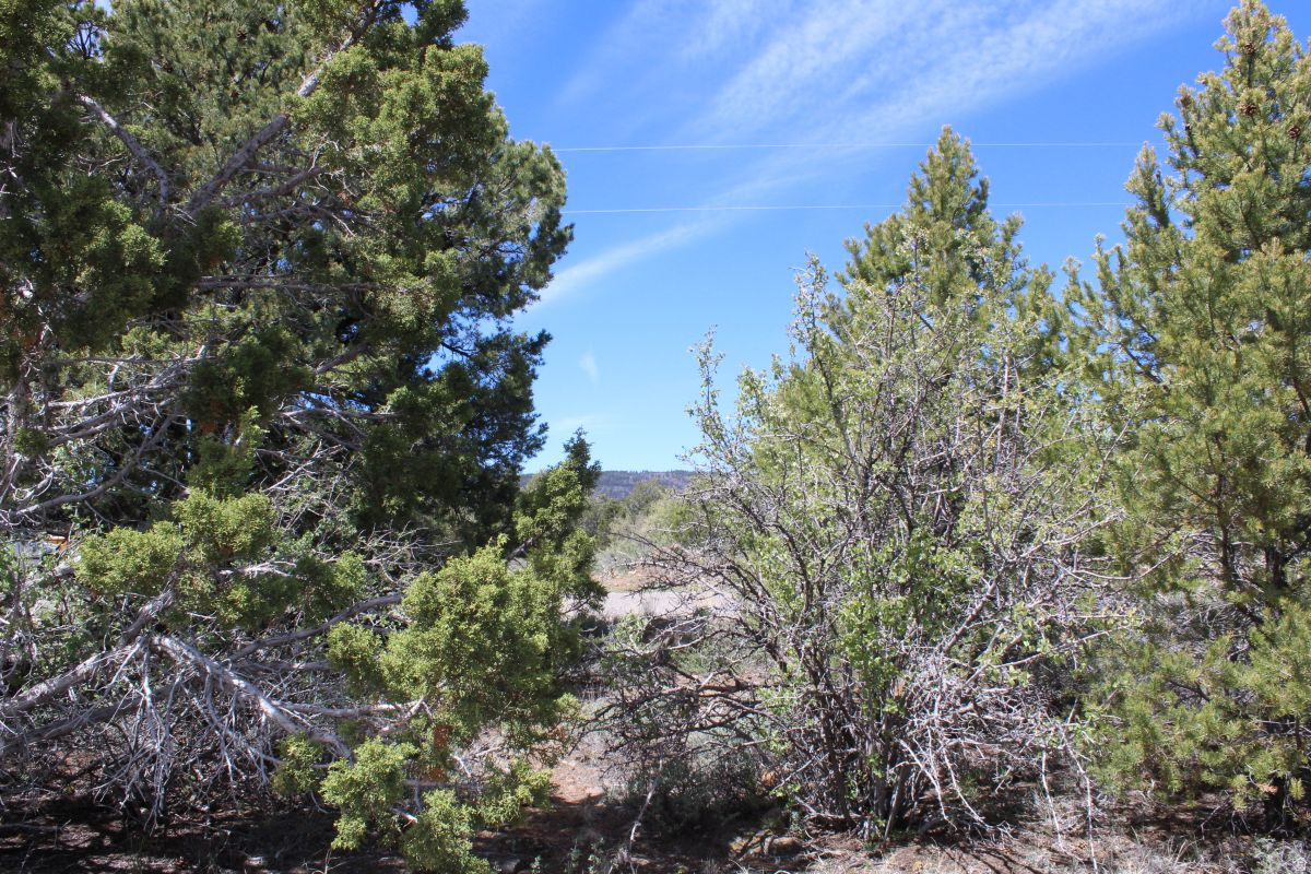 BOULDER KING ESTATES - Land