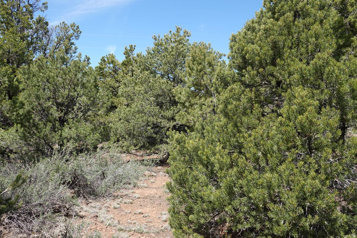 BOULDER KING ESTATES - Land