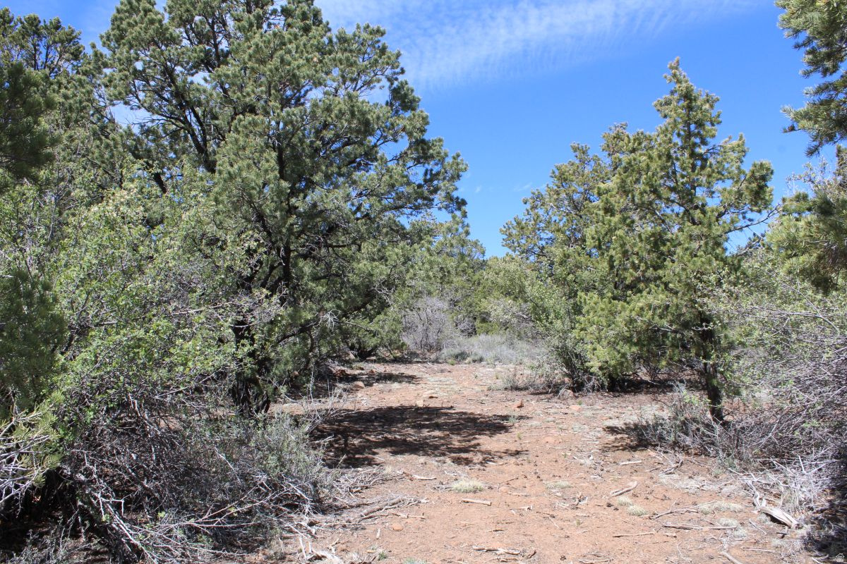 BOULDER KING ESTATES - Land