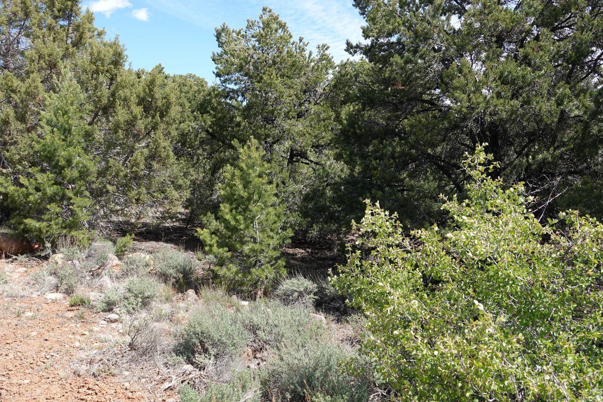 BOULDER KING ESTATES - Land