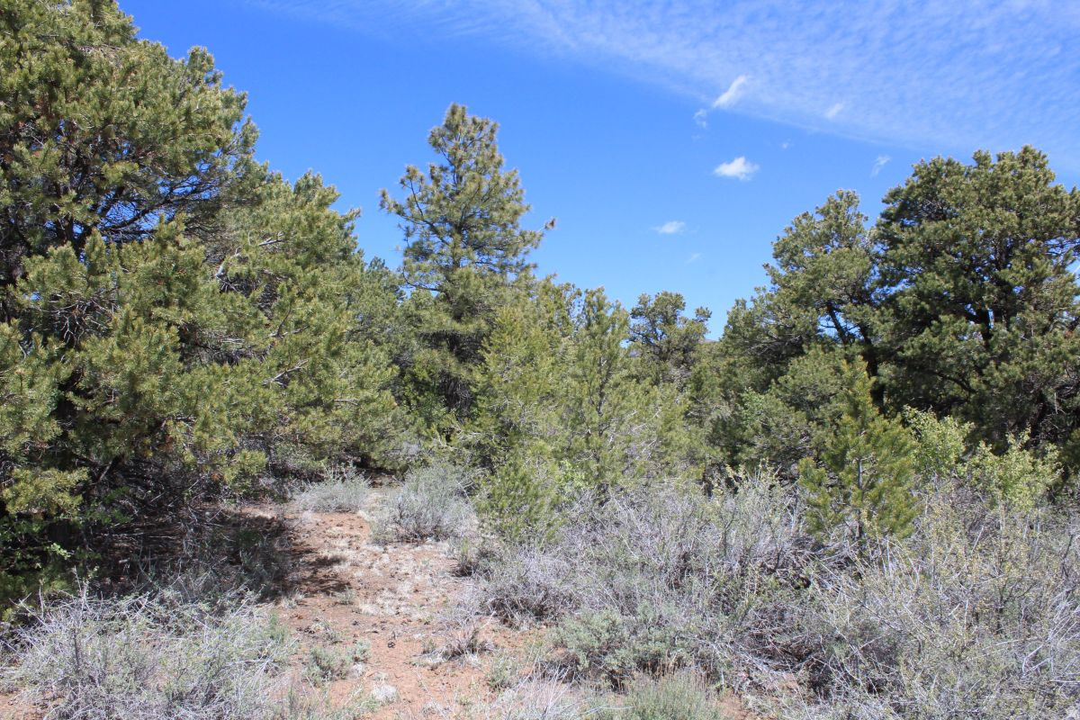 BOULDER KING ESTATES - Land