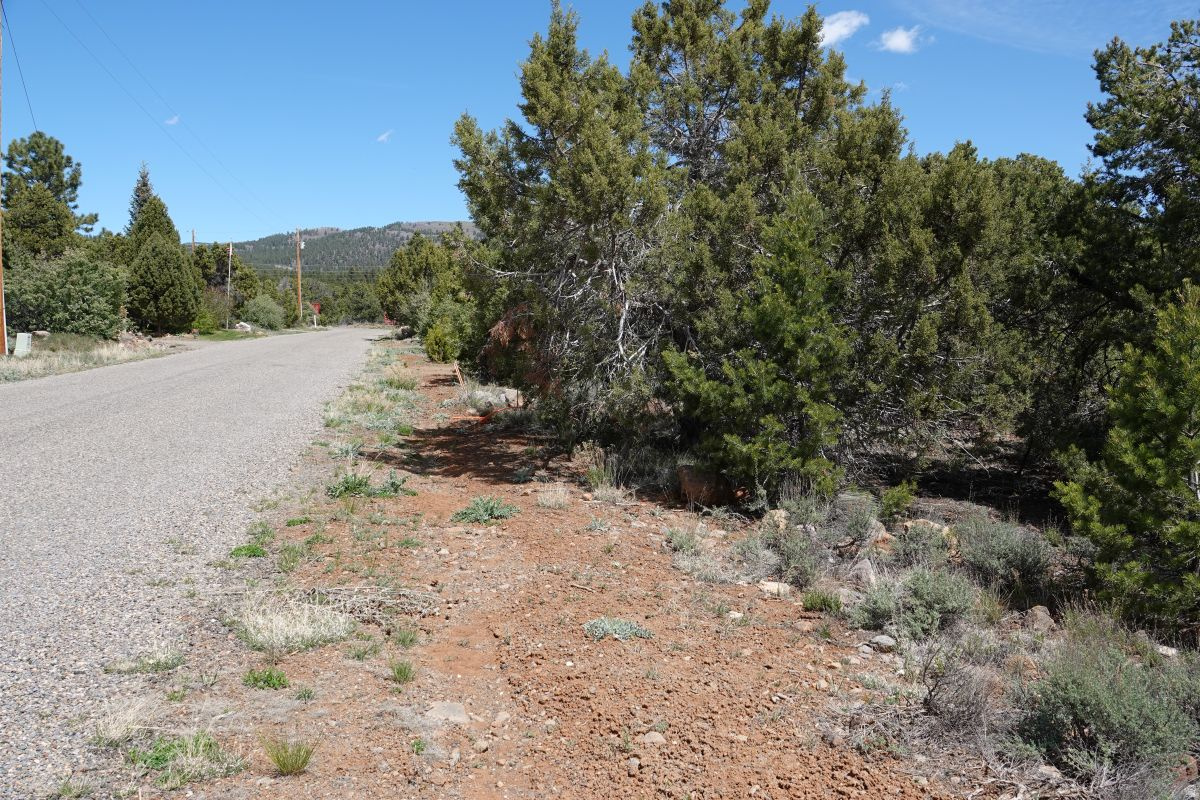 BOULDER KING ESTATES - Land