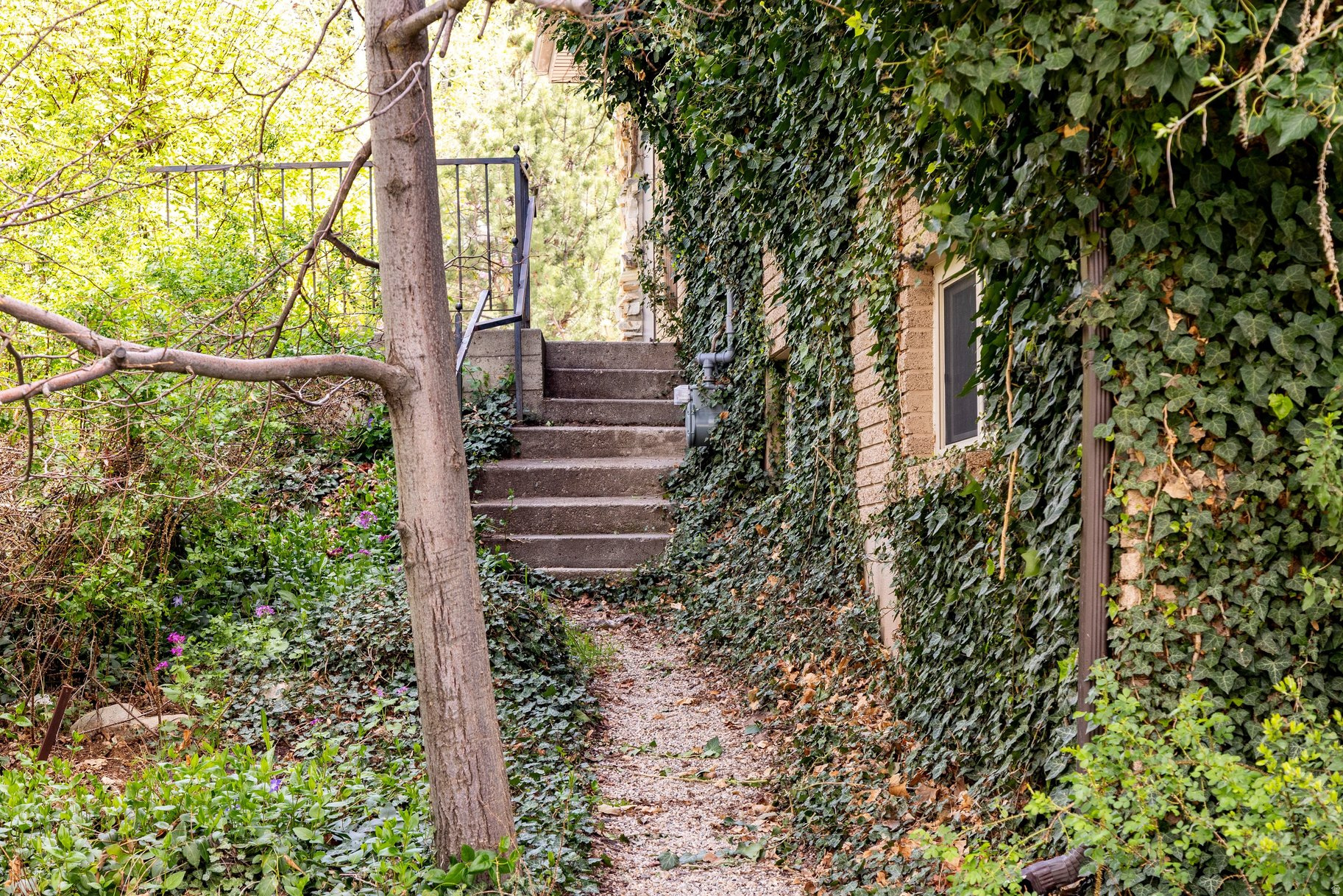 MT OLYMPUS ACRES SUB - Residential