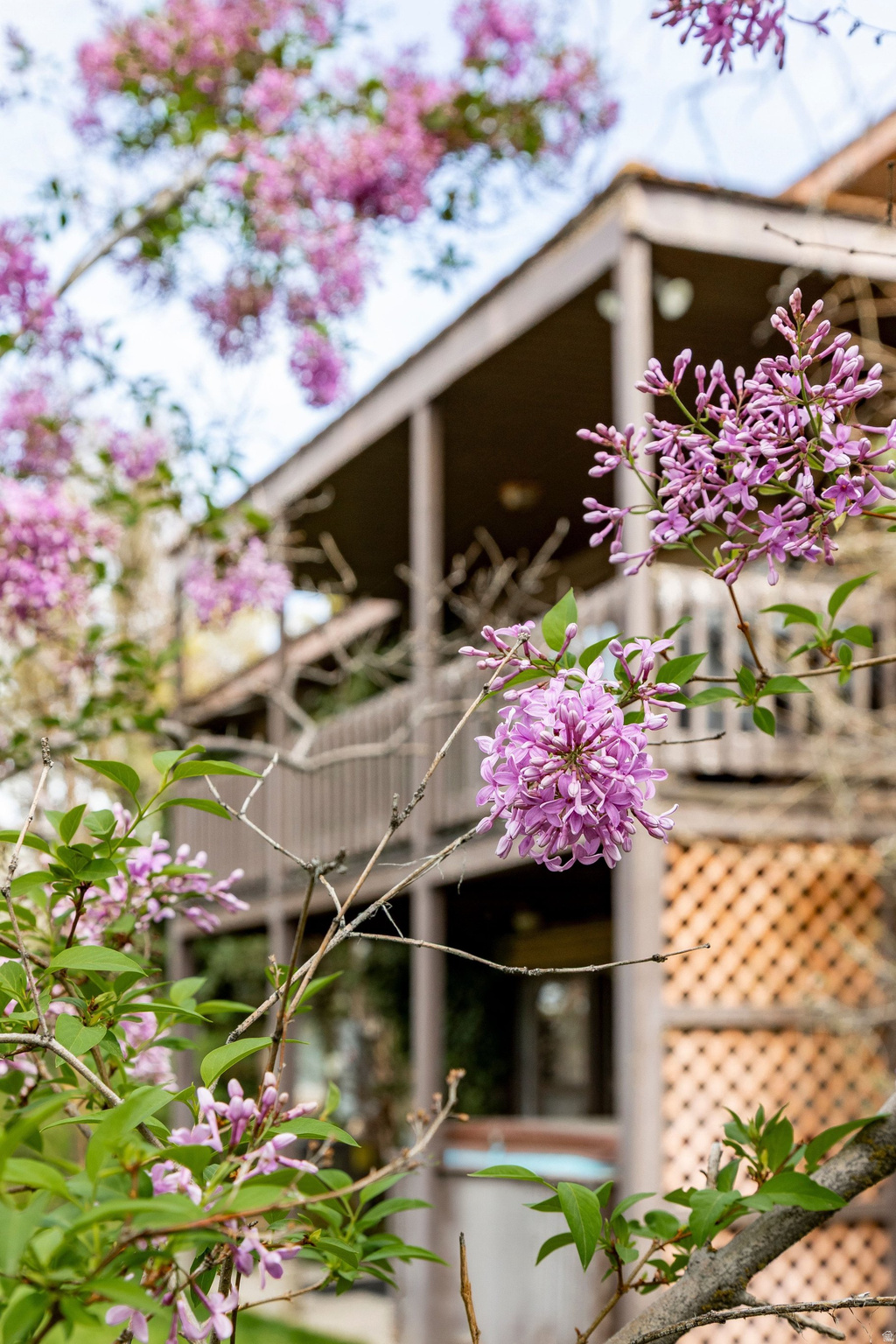 MT OLYMPUS ACRES SUB - Residential