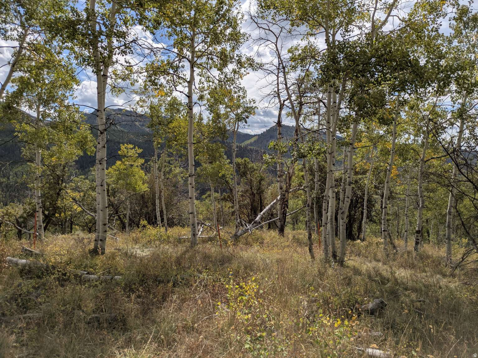 LITTLE DIPPER HILLS SUBDIVISION - Residential