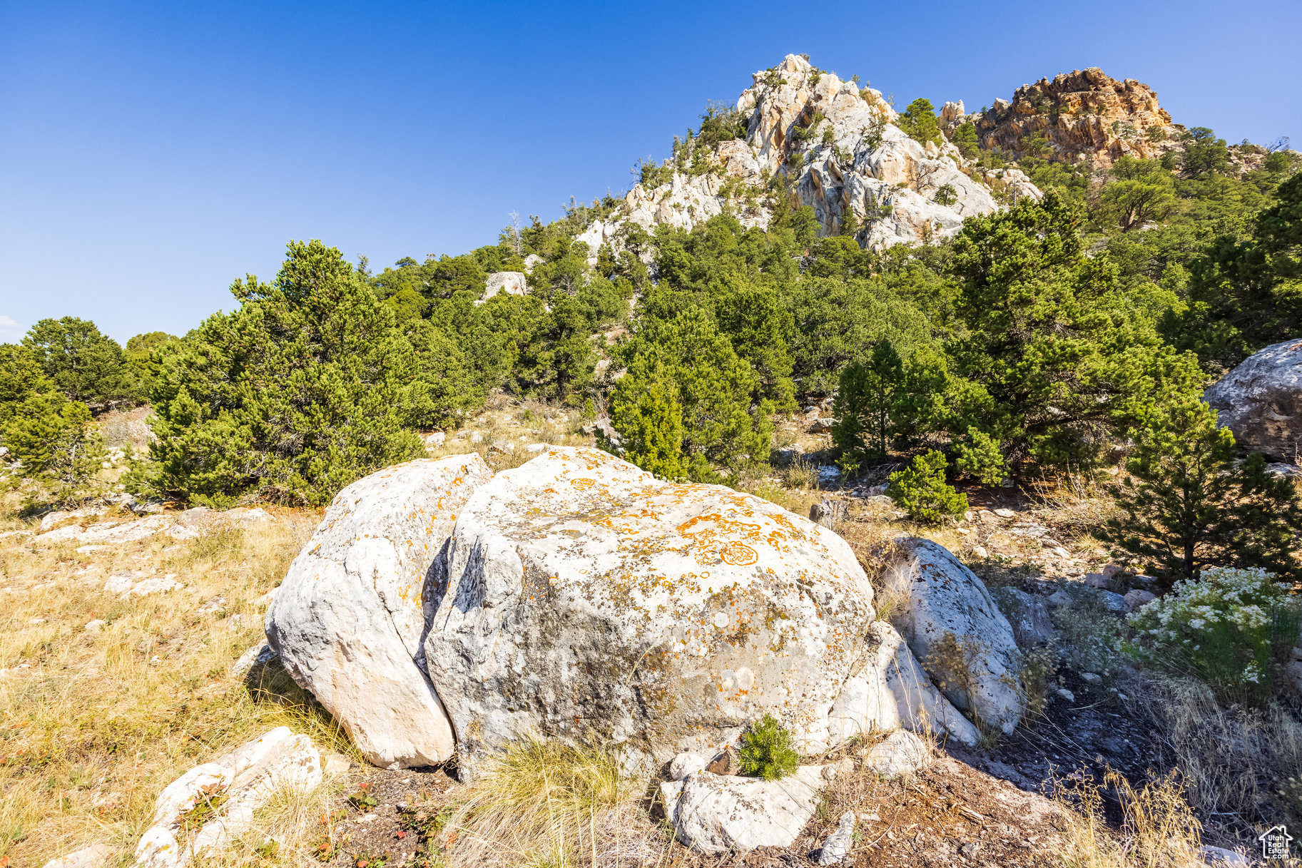 18906 N Canyon Rd, Whiterocks, Utah image 33