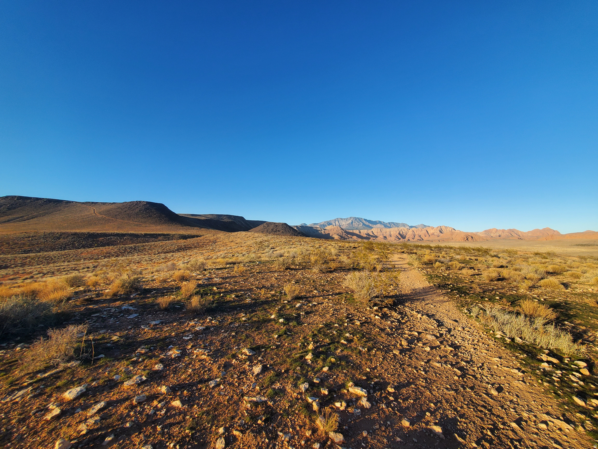 VILLAS AT GREEN SPRING PH 1 - Residential