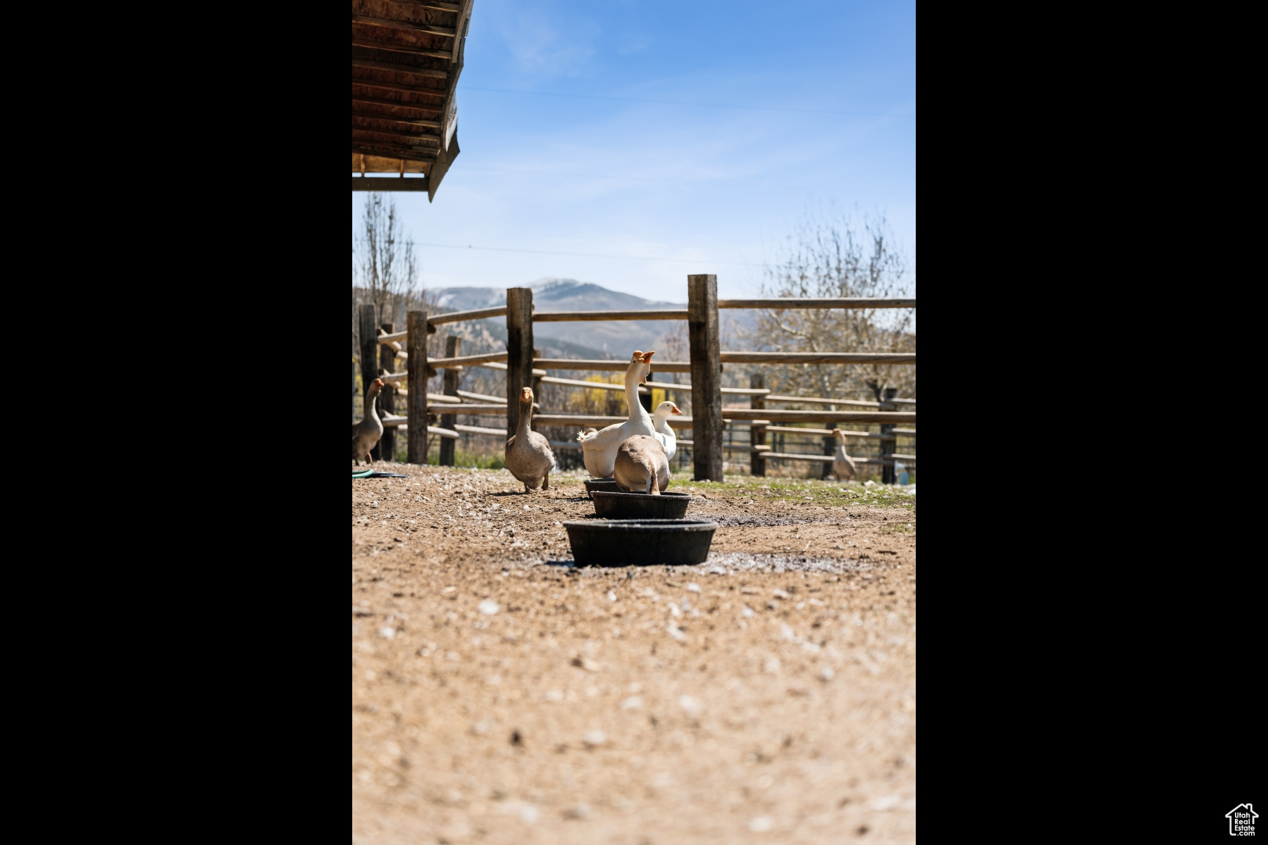 NORTH SUMMIT - Residential